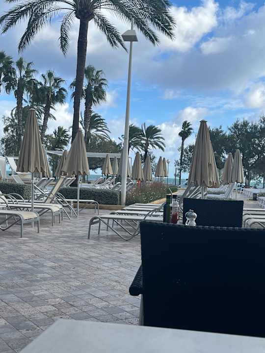 Gartenanlage CM Castell de Mar