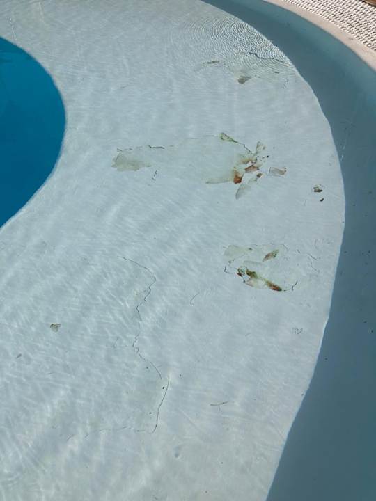 Pool LABRANDA Marieta - Adults only