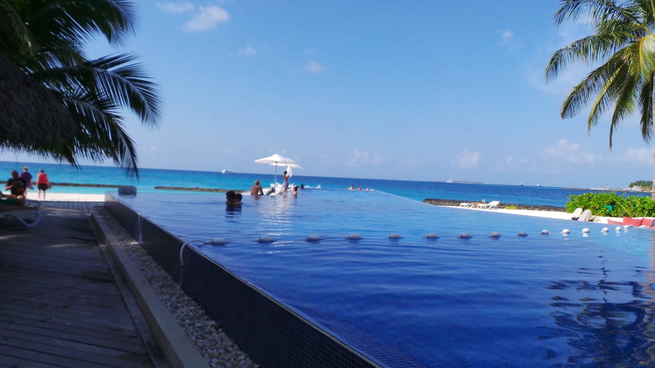 Infinity Pool Kuramathi Maldives