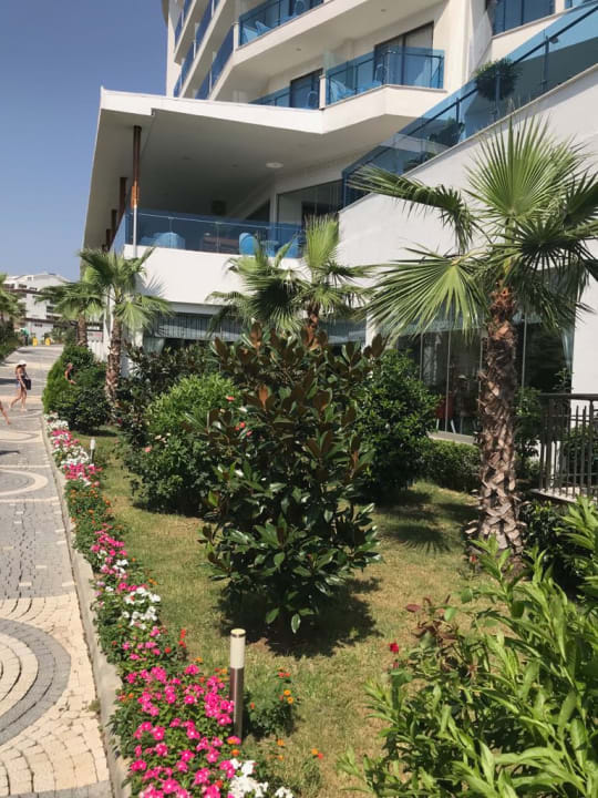 Gartenanlage Dream World Hill Hotel