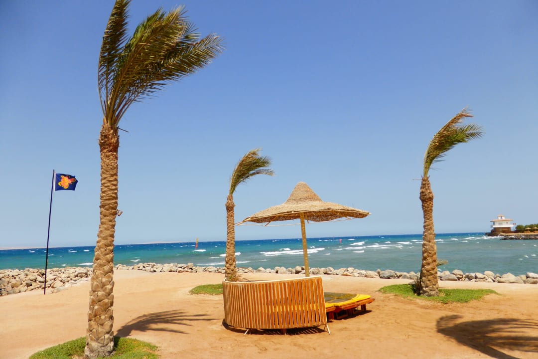 Blick in Richtung Meer Desert Rose