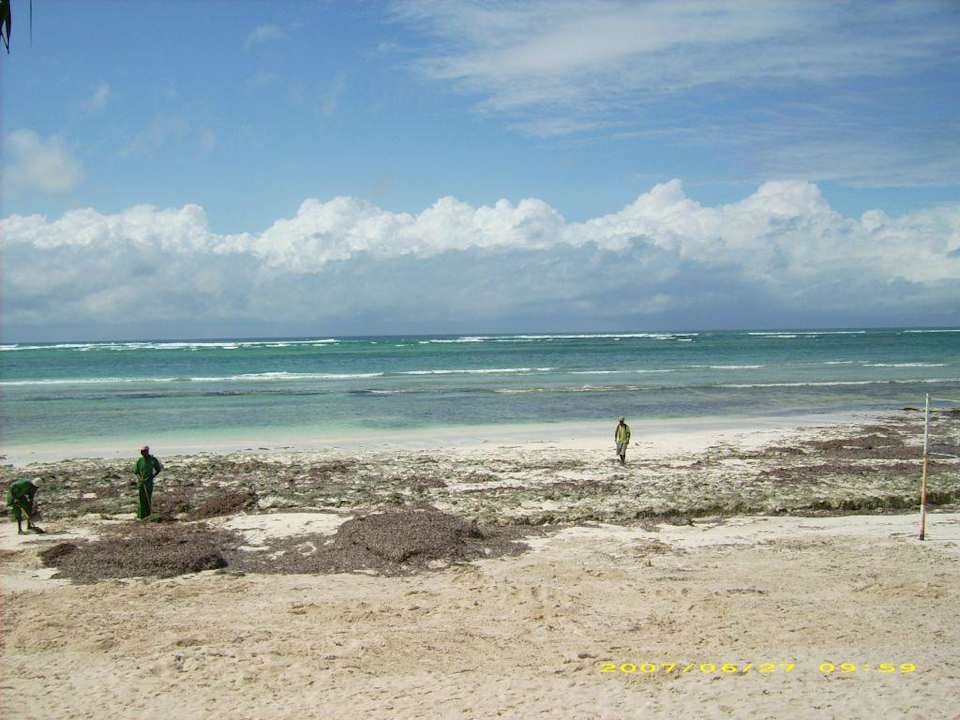 Strand Kaskazi Beach Resort