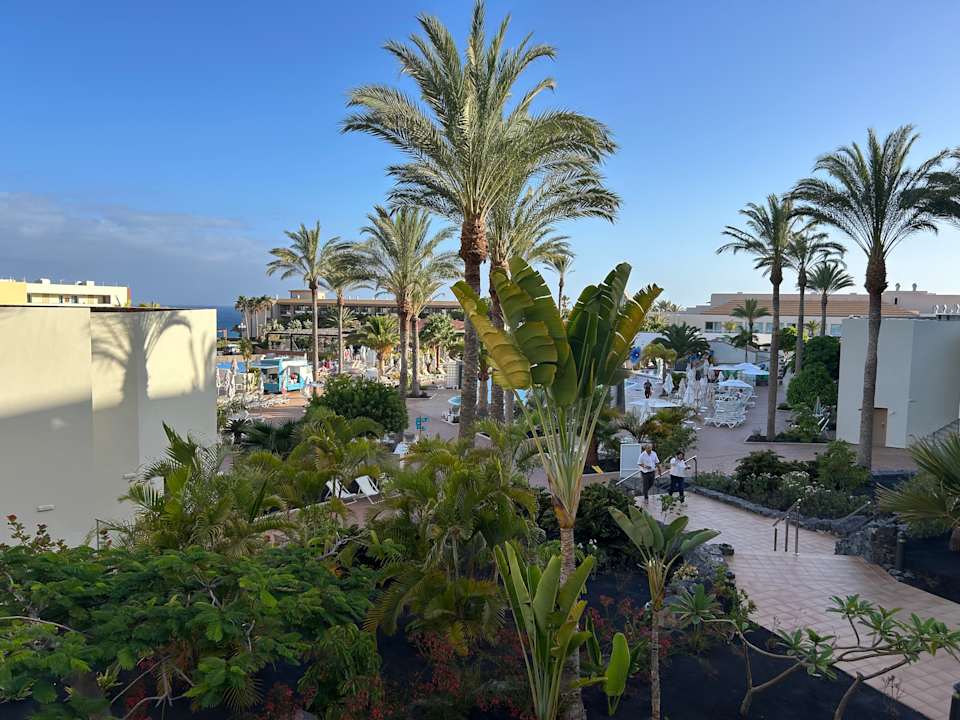 Ausblick Iberostar Waves Gaviotas Park
