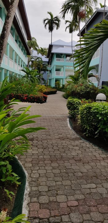 Gartenanlage Grand Paradise Playa Dorada