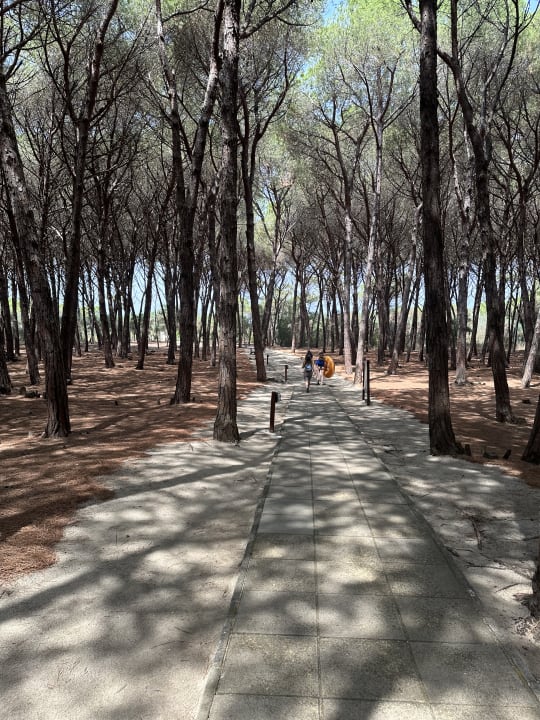 Gartenanlage TUI MAGIC LIFE Calabria