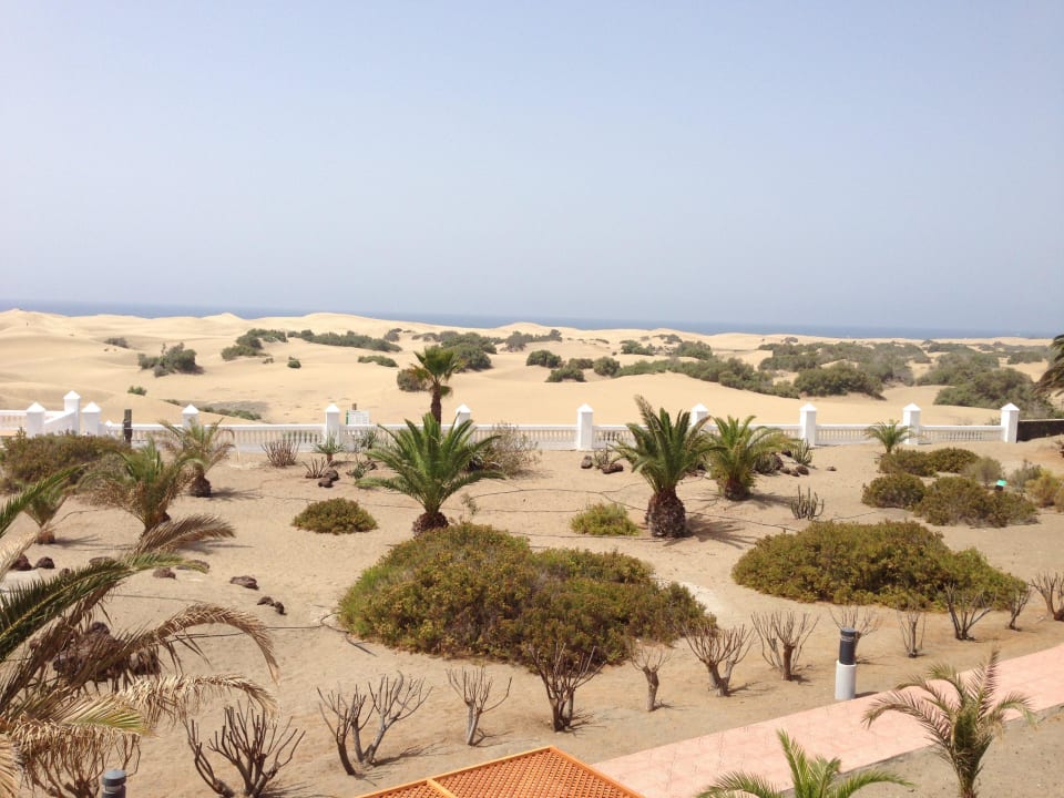 Dunas vistas desde hotel Hotel Riu Palace Maspalomas Adults Only