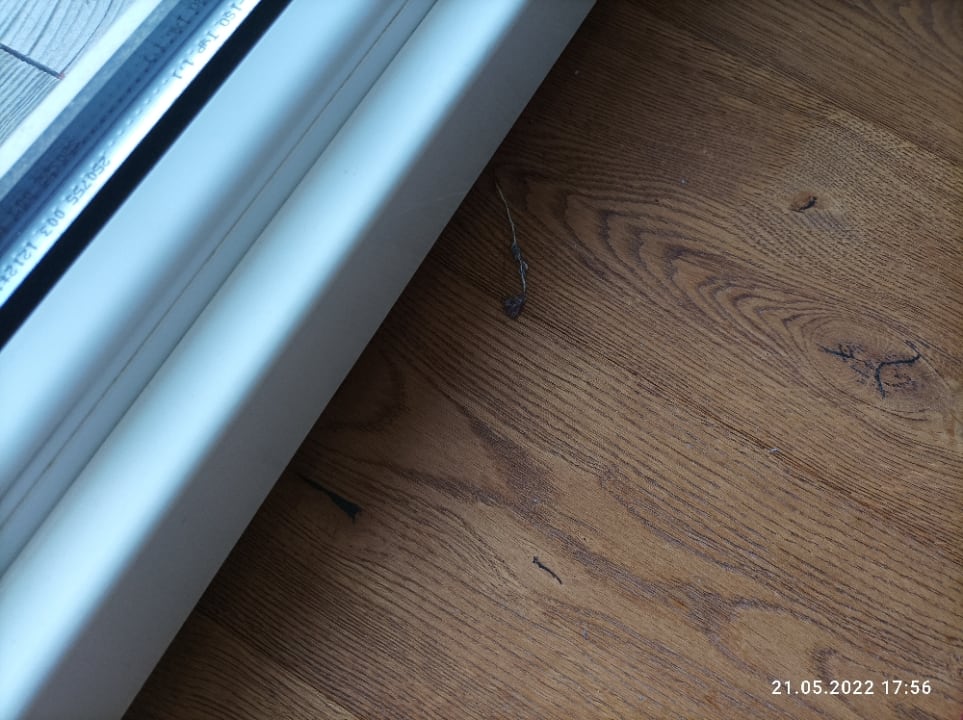 Zimmer Hotel Belmont