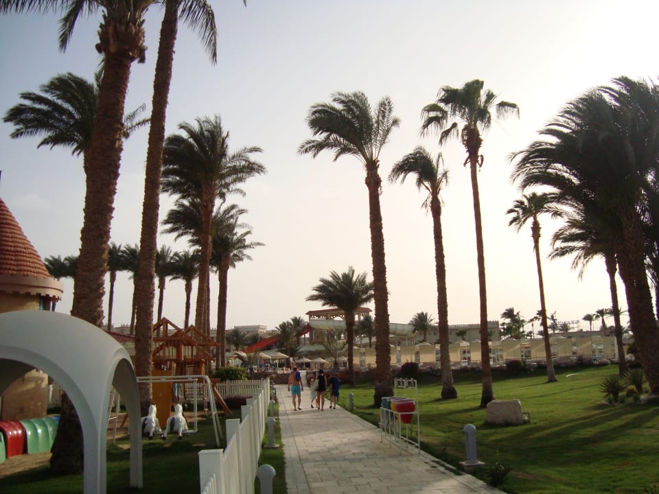 Gartenanlage Beach Albatros Resort