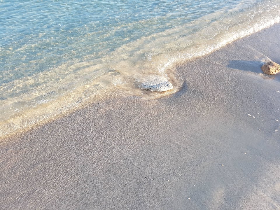 Es trenc Apartments Ibiza