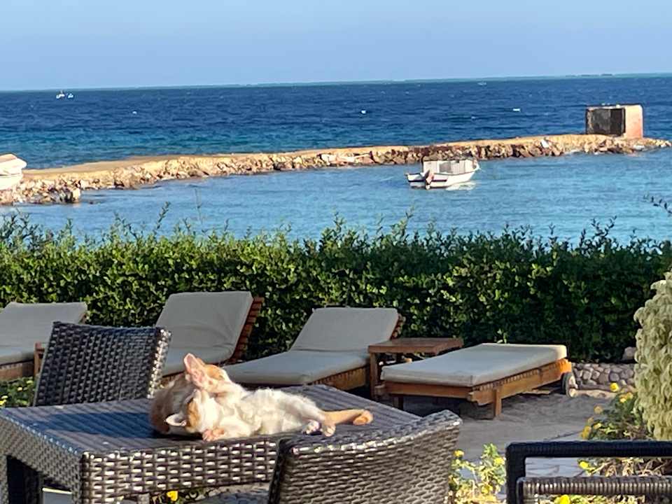 Ausblick Royal Star Beach Resort