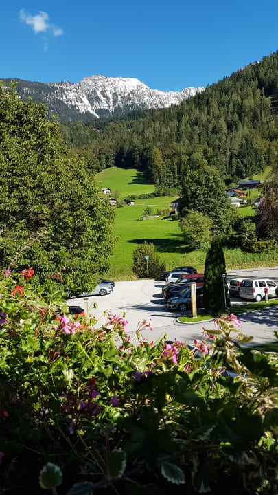 Ausblick Alm- & Wellnesshotel Alpenhof