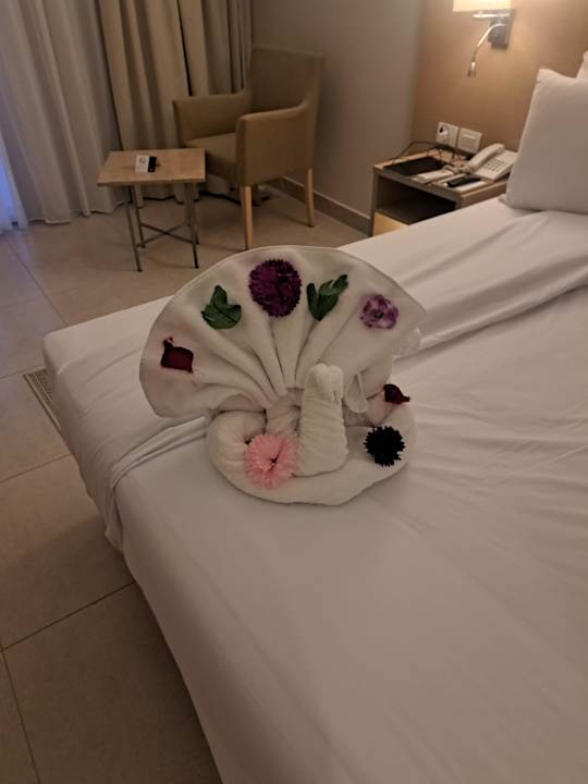 Zimmer JAZ Elite Asteria