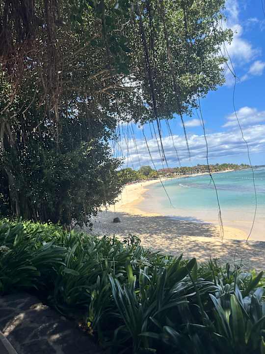 Ausblick Maritim Resort & Spa Mauritius
