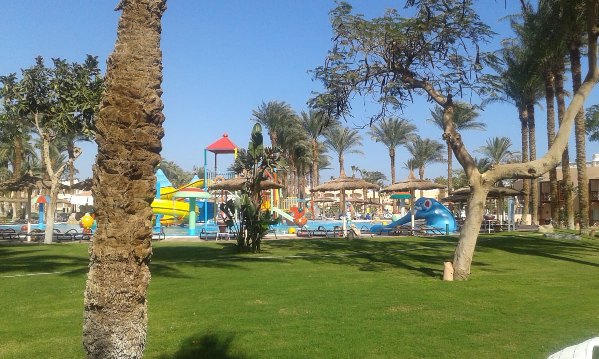 Pool Beach Albatros Resort