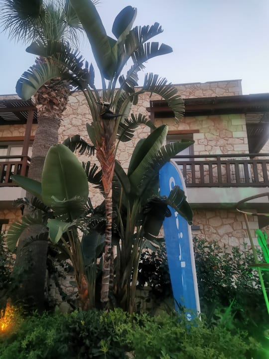 Gartenanlage Cactus Beach