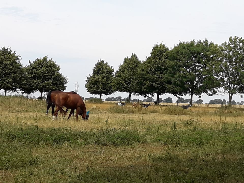 Ausblick Hofgut Wollin