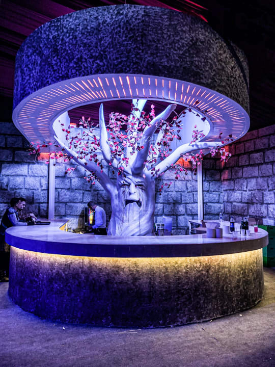 Gastro Pickalbatros White Beach Resort - Hurghada