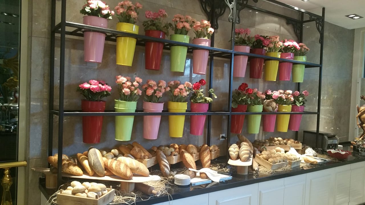 Gastro Well Palace Side