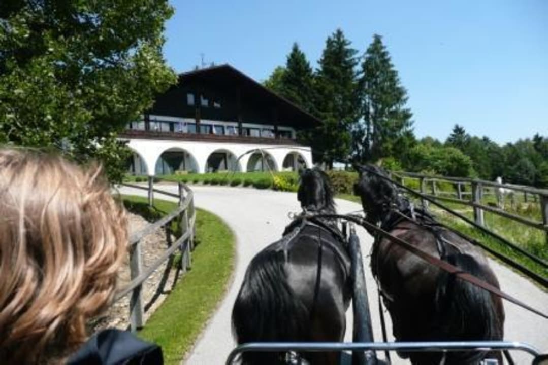 Hotelauffahrt Gut Feuerschwendt Hotel Gut Feuerschwendt