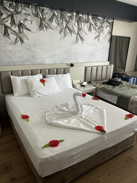 Zimmer Seaden Sea World Resort & Spa