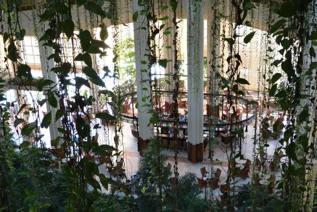 Lobbybar Blau varadero - Adults only