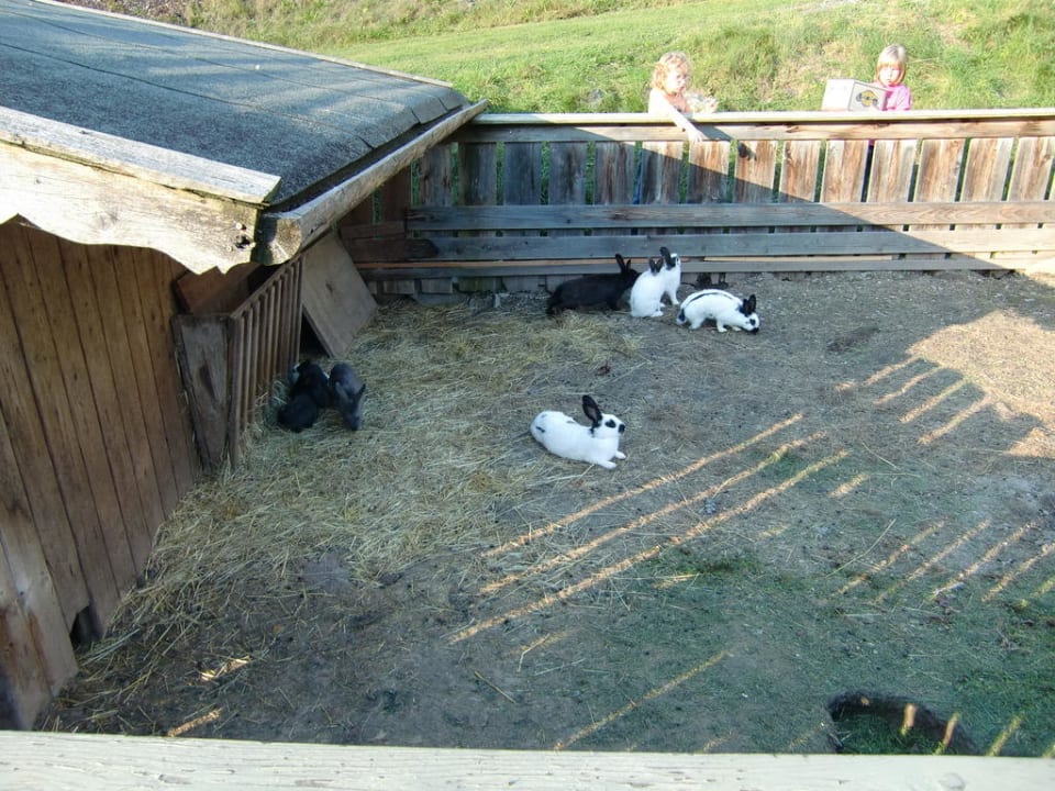 Kanichenstall Hotel Berghof