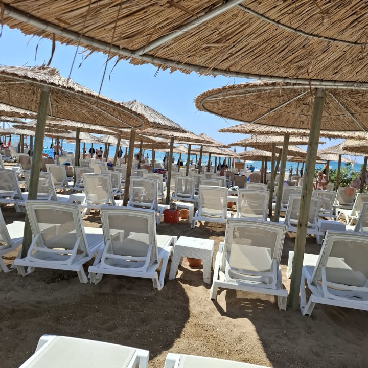 Strand Dream Fun World