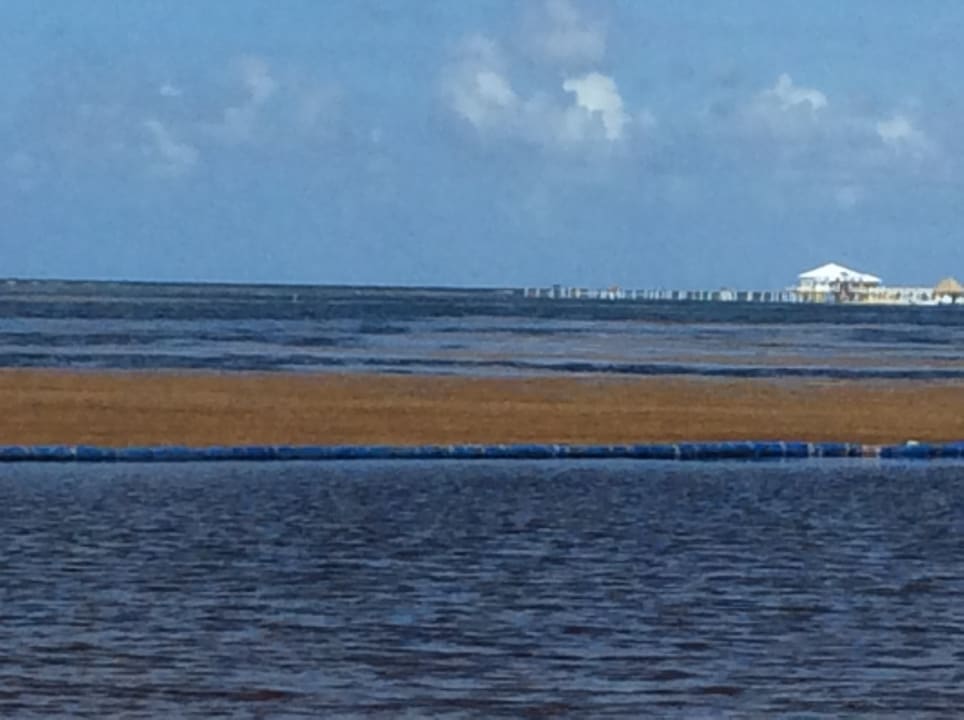 Strand Jewel Palm Beach