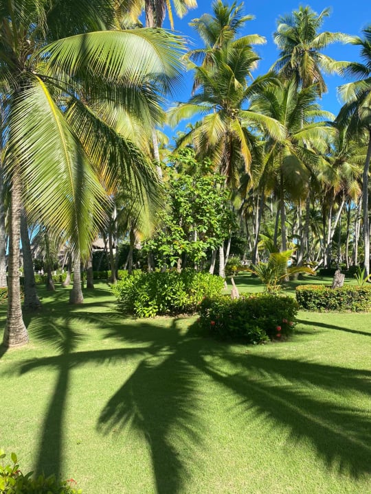 Gartenanlage Vista Sol Punta Cana