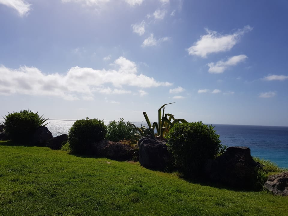 Ausblick TUI MAGIC LIFE Fuerteventura