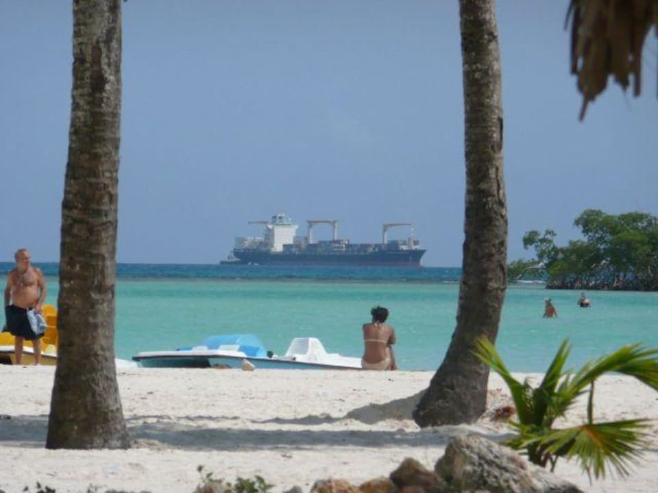 Containerschiff BelleVue Dominican Bay