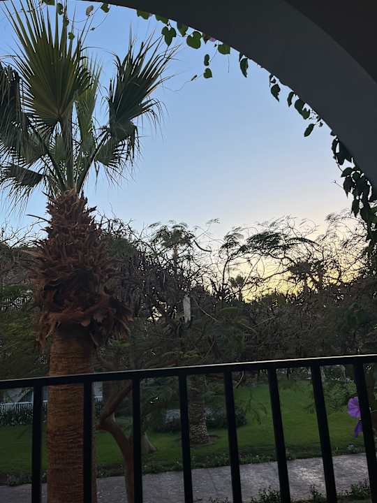 Ausblick Desert Rose