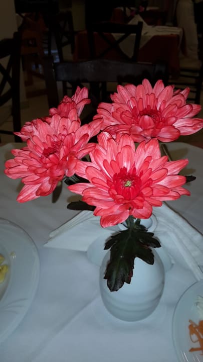 Tischdeko Cronwell Platamon Resort