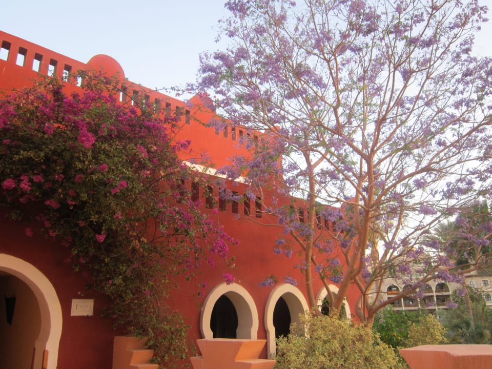 Hotelgebäude Grand Makadi