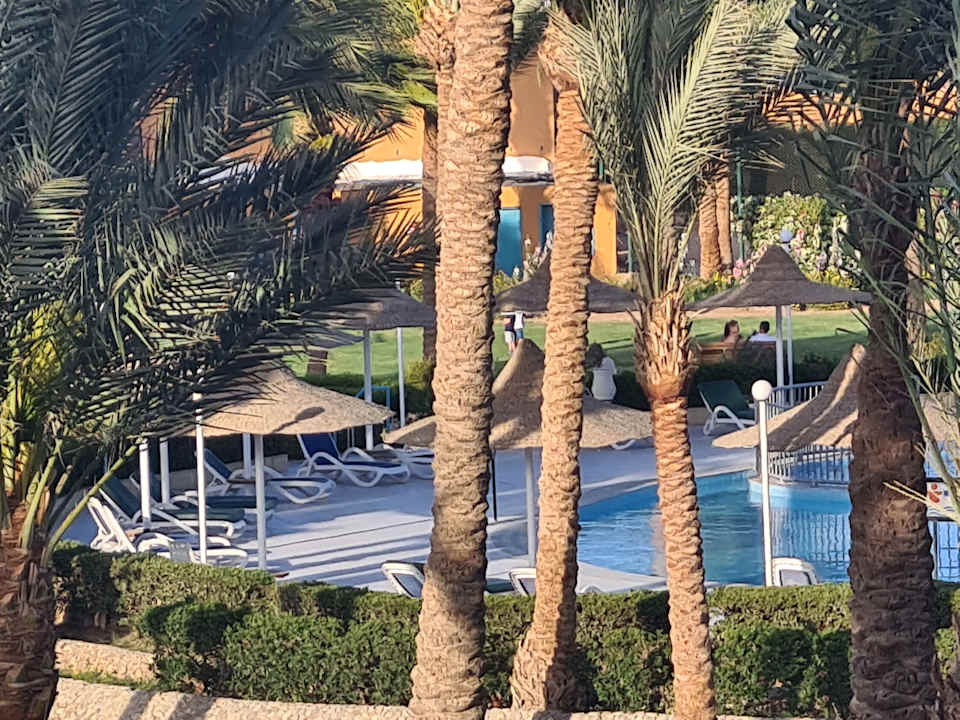 Ausblick Giftun Azur Resort