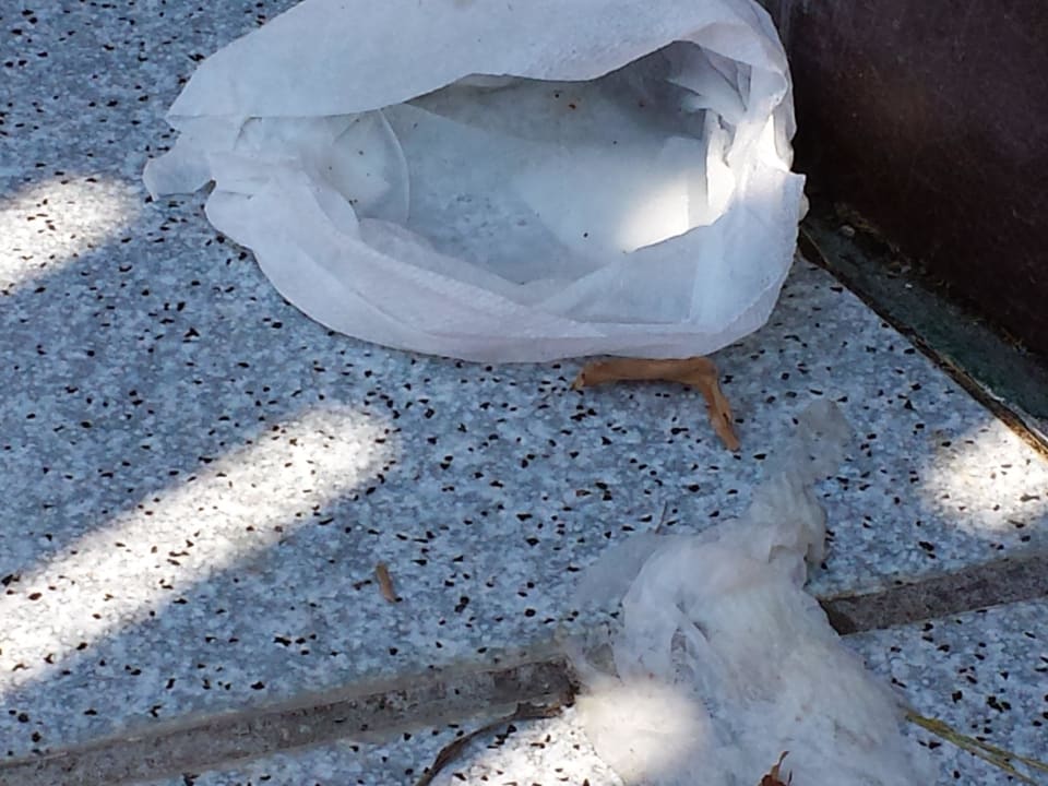 Lecker Hotel Golden Odyssey