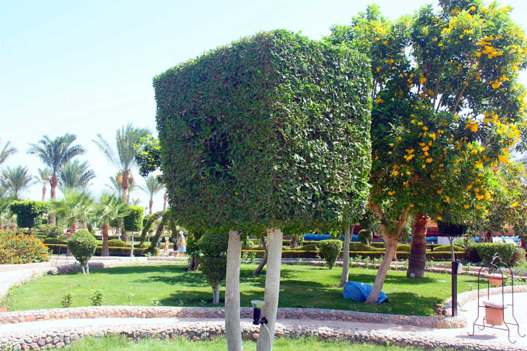 Festival le Jardin Le Jardin Aqua Park Resort