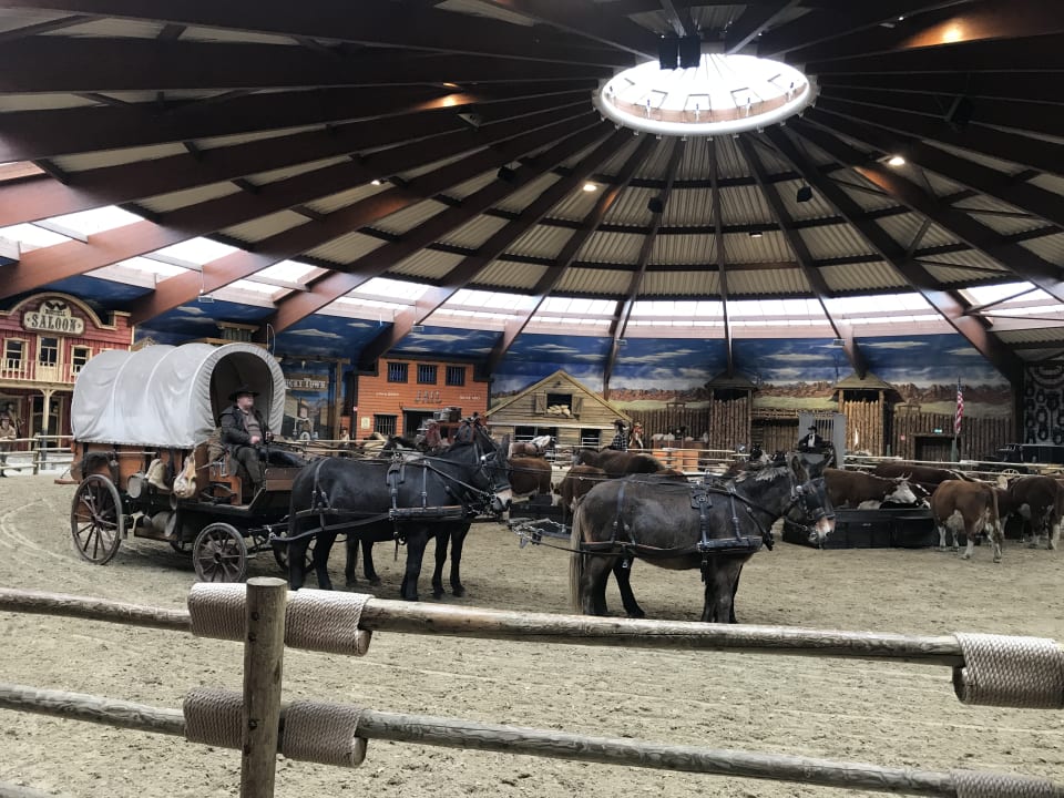 Sport & Freizeit PonyparkCity