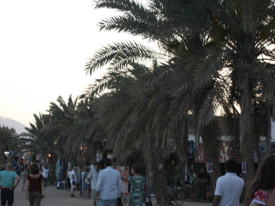 Hotel Corali Club Dahab Lagoon Club & Resort