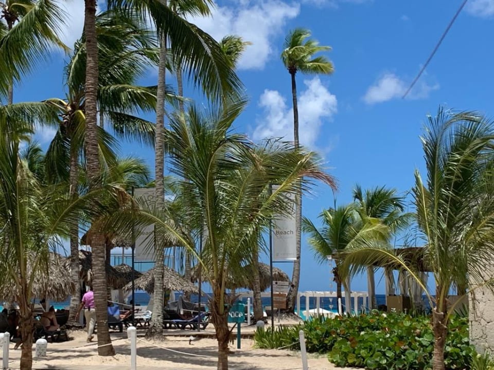 Strand Catalonia Royal La Romana - Adults only