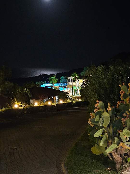 Gartenanlage TUI BLUE Seno - Adults Only