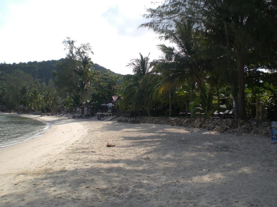 Strandbereich  Hotel Salad Hut
