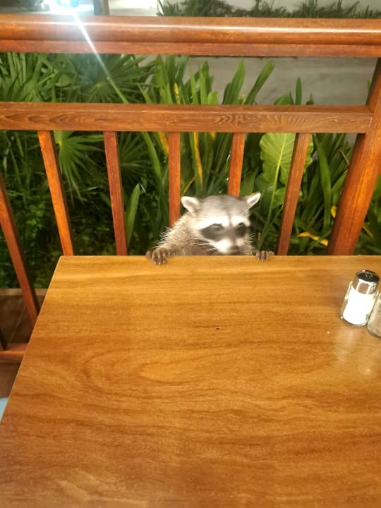 Gastro Bahia Principe Grand Tulum