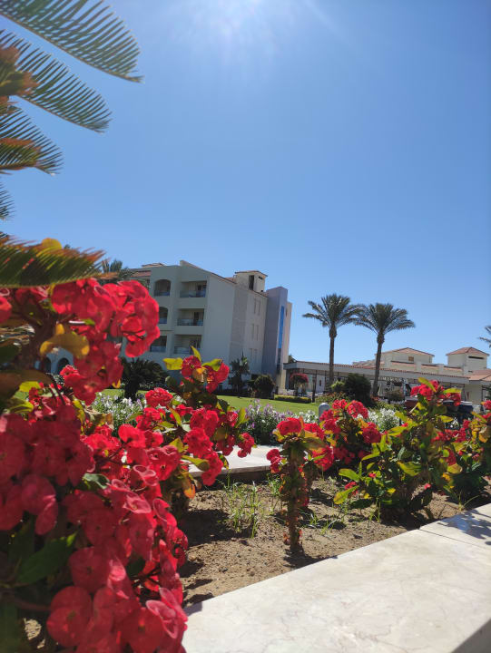 Gartenanlage Pickalbatros Dana Beach Resort - Hurghada