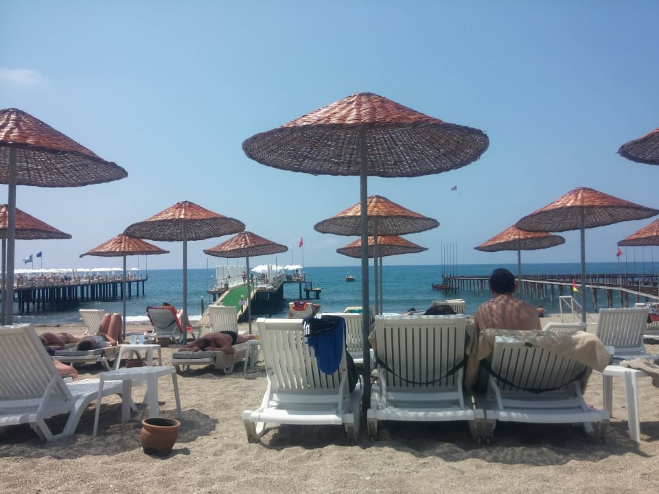 Die Liegen am Strand Dizalya Palm Garden
