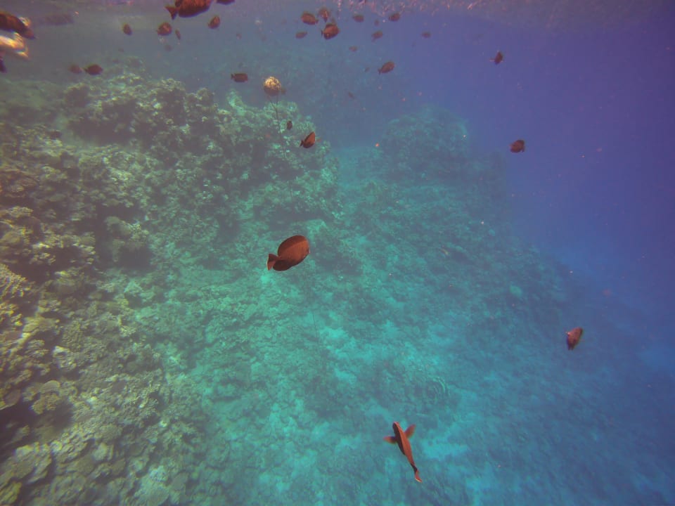 Strand Three Corners Sea Beach Resort