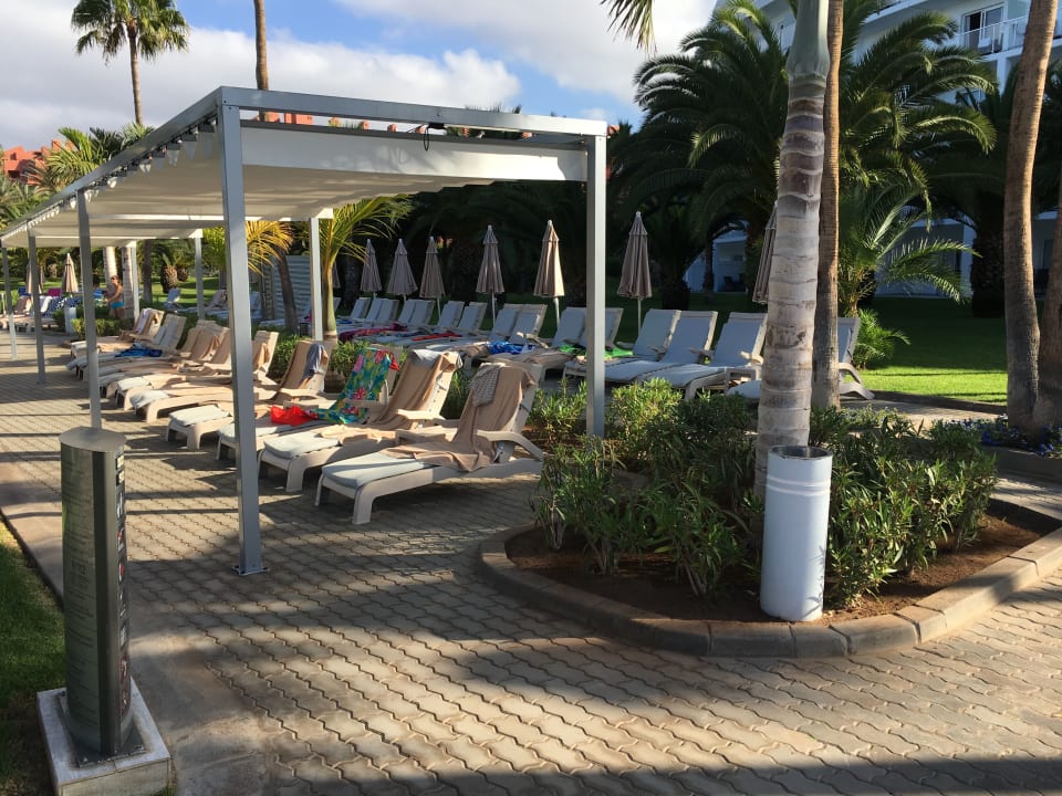 Pool Hotel Riu Palace Tenerife