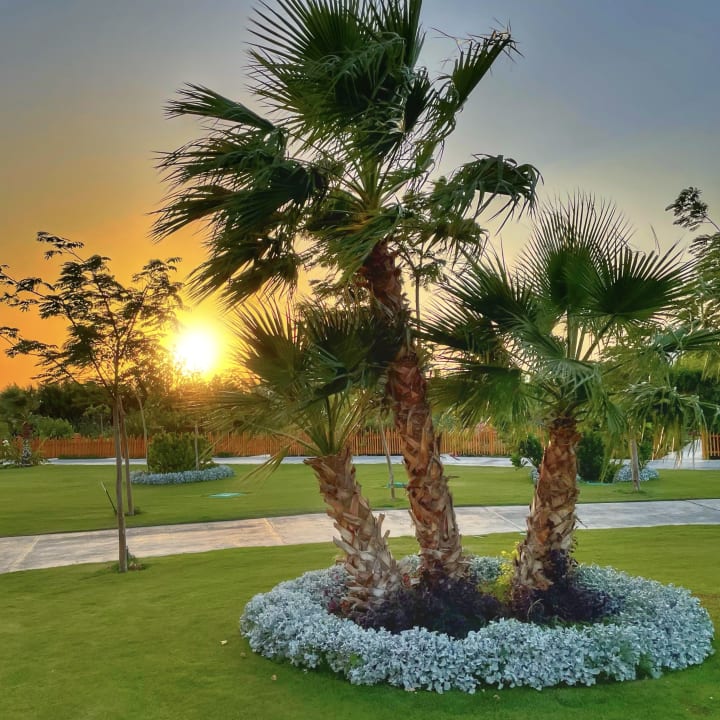Gartenanlage Rixos Premium Magawish Suites & Villas