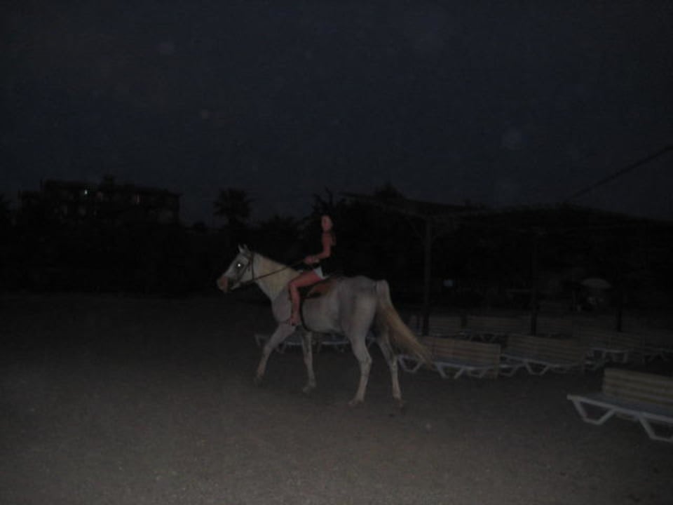 Night beach me and horse Hotel Club Life Kizilot