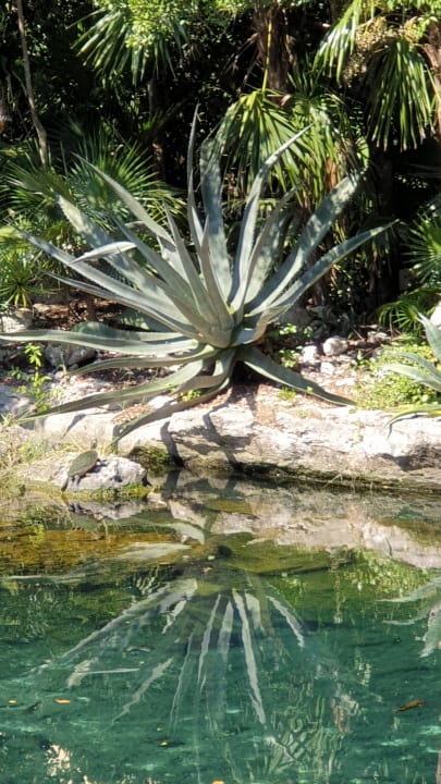 Außenansicht Catalonia Royal Tulum Beach & Spa Resort - Adults only